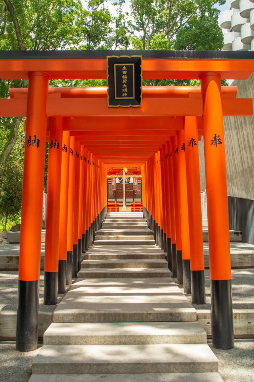 ⛩️ 이쿠타 신사 (生田神社) 이미지 6